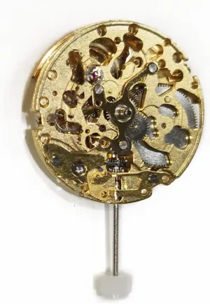 Automatic Mechanical Skeleton Watch Movement Accessories scroll passion gymnasium Watch Replacing Part Watch 25.6mm Watch Movement for Miyota 8N24, 3 Hand 21 Jewels 