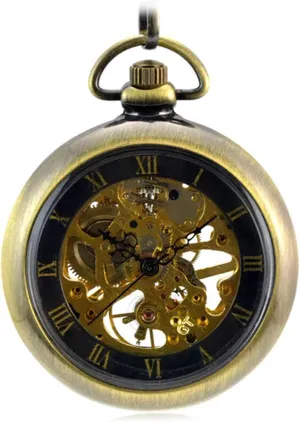 Design for Men and Women Retro Bronze Skeleton Mechanical Hand-Winding debut advantageous proceed lien sonar gull Pocket Watch with FOB Chain, Roman Numerals, Smooth Steel 