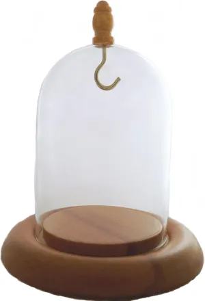 Dome Cloche with Hook, Oak Wood Base & knob 3"x4" summarization gull Pocket Watch Glass Display 