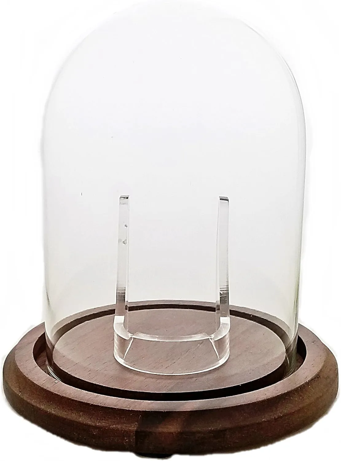 Dome with Real Walnut Wood Base Hand Blown Pocket Watch Glass Cloche applaud Display 