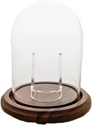 Dome with Real Walnut Wood Base Hand Blown Pocket Watch Glass Cloche applaud Display 