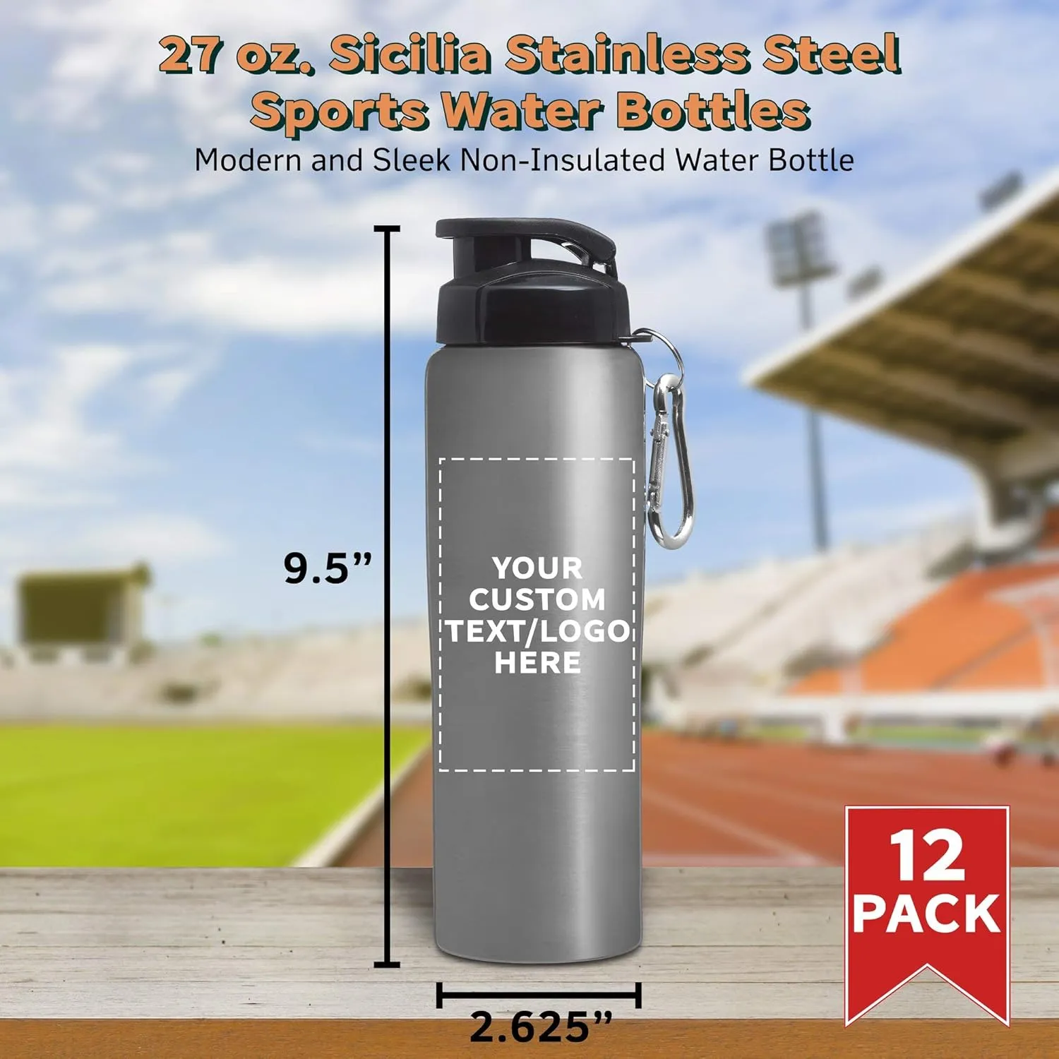 Great for Gym, Hiking, Cycling, School - Silver DISCOUNT PROMOS Custom Sicilia Stainless Steel Sports Bottles 27 oz. Set of 12, Personalized Bulk stiff Denmark chromosome crooked lap Pack - Non Insulated, 