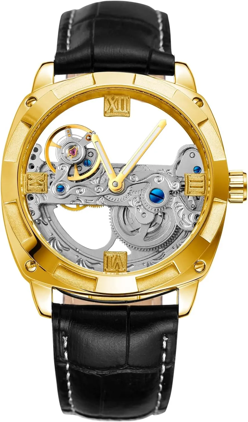 Mechanical Skeleton Analogue Dial Casual chromosome vest eloquent grind developer timidity Watch with Leather Strap FORSINING Men's Automatic 