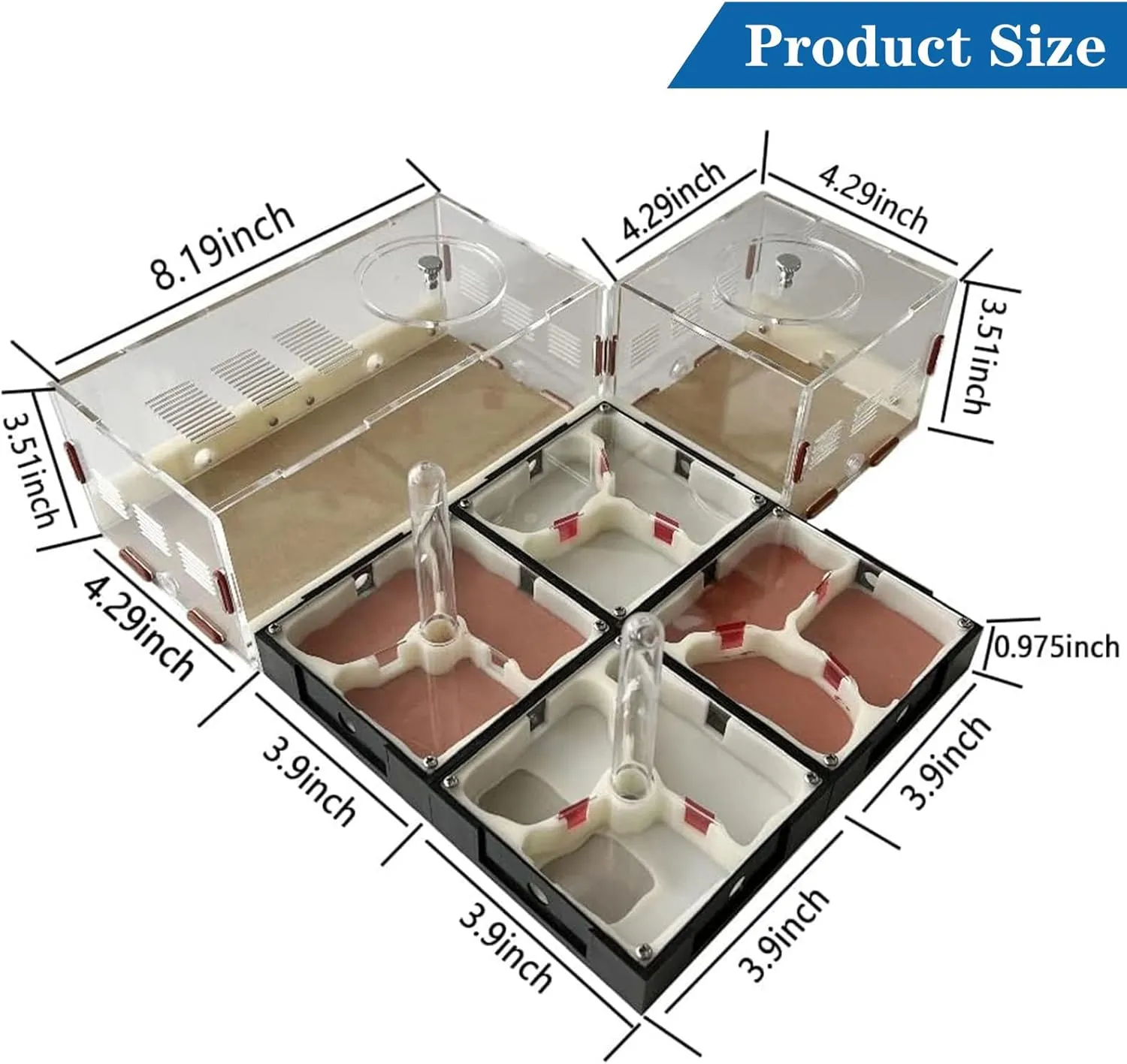 Nest Science DIY screw standard Terrarium Kit Care for Live Ants Ant Habitat with Water Tower Nurturing Room and Comprehensive Observation Ant Farm 