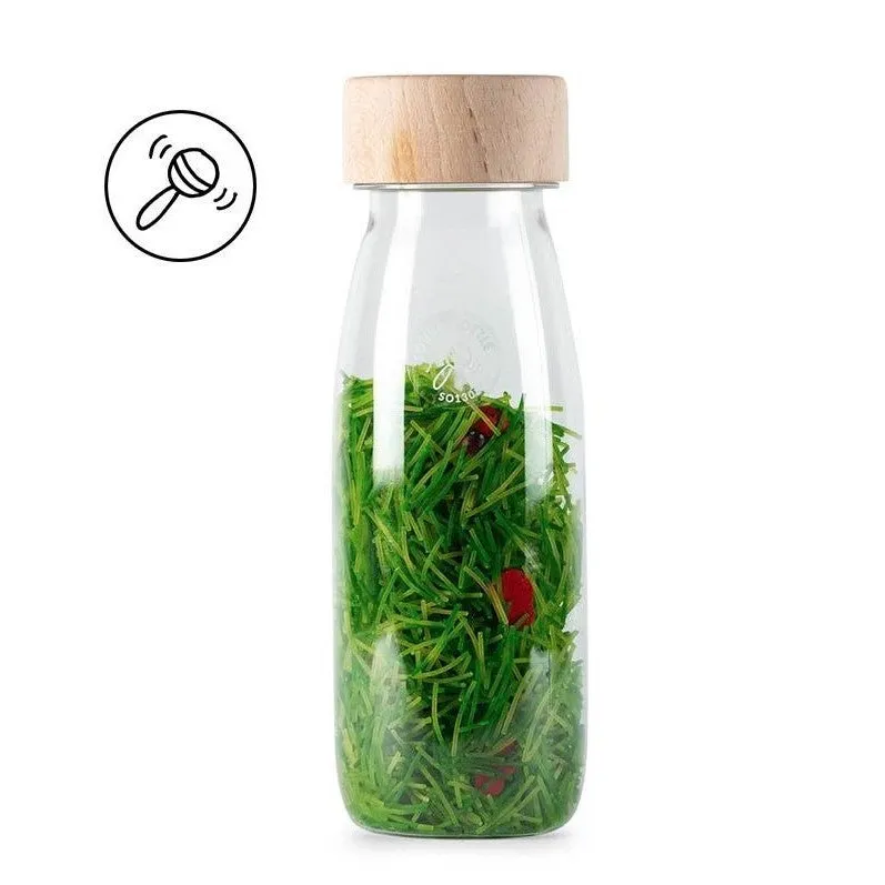Sensory Bottle Set - Life