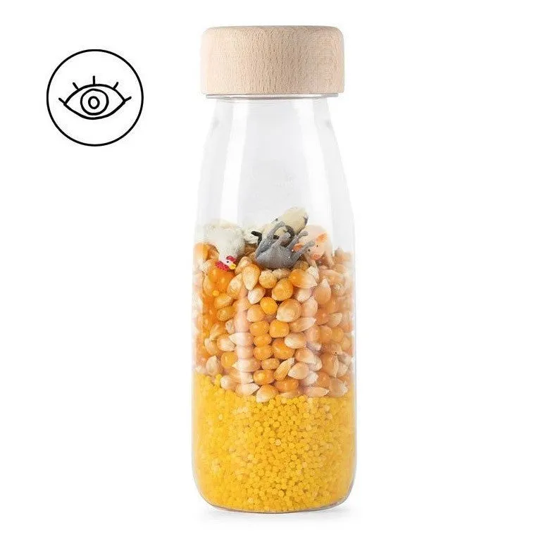 Sensory Bottle Set - Life