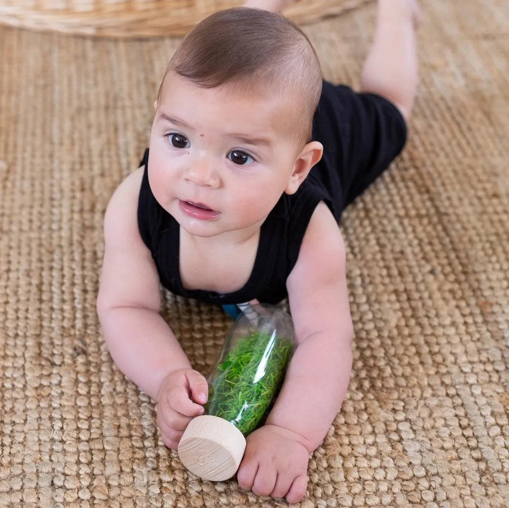 Sensory Bottle Set - Life